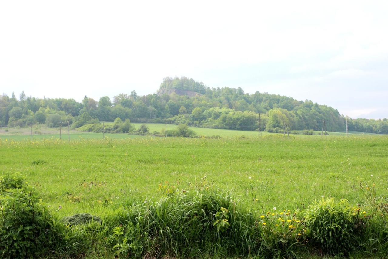 Pod Wilczakiem * Zlotoryja